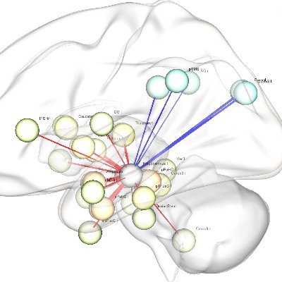 Computational brain cognitive science (with a focus on semantic processing of language), neuroepistemology.