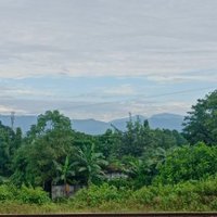 Djb18 (@dibyajyotibart1) 's Twitter Profile