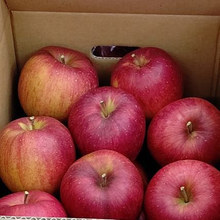 Baku_Shuu_'s profile picture. 小説読むのが好きです。

お散歩も好き

アラフォー。のんびり呑むのが好き

壁紙：東京国立博物館 （壁紙ダウンロードより）重要文化財　埴輪 腰かける巫女　群馬県大泉町古海出土　古墳時代・6世紀
刀剣乱舞始めました。元本屋勤め