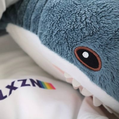 mt8il's profile picture. Splatoon / Apex / Tetris / Taiko / パズドラ / Game Account /