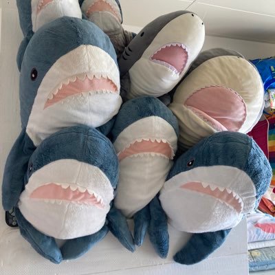 I LOVE SHARK&HULA いつからこんなに🦈が気になるのか、好きなのか知りたいのか、好きすぎる。サメに関わる全てを学びたい。🦈を守りたいサメグッズも好き❤️サメグッズショップオープン準備中さかなくん 沼口麻子さん、飯尾和樹さん大尊敬！ @nawahinefrogsgate@gmail.com