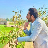 Malik Hammad (@malik_hassan77) 's Twitter Profile