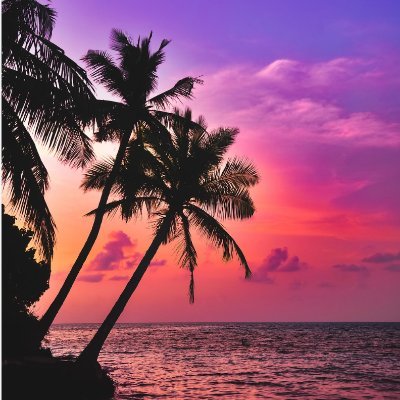 imA_chameLEON's profile picture. ALL ABOUT THE U