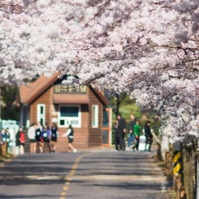 私は生きるために一生懸命働かなければならない