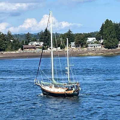 duoji42168980's profile picture. 