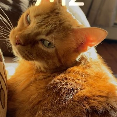 ItzJustCamlan's profile picture. whatever ya do, don’t follow me.