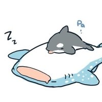 Mael Santrix (@alucard_boros) 's Twitter Profile