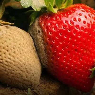 jaykan_t's profile picture. TT-S