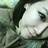 noanna90's profile image
