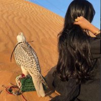 غرشوبه❤️ (@fk_970) 's Twitter Profile
