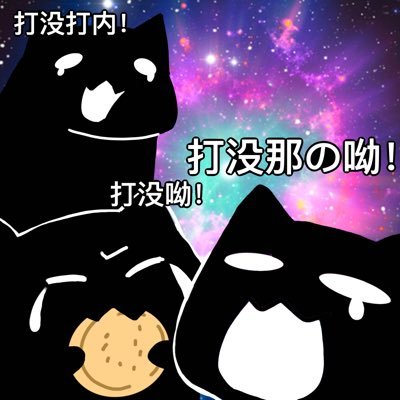 猫型海参さんのプロフィール画像
