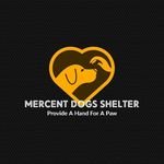 MERCENT DOGS SHELTER

Non profit org. we aim at rescue,fostering, feeding, treating stray animals
With your support we can save many stray animals on streets