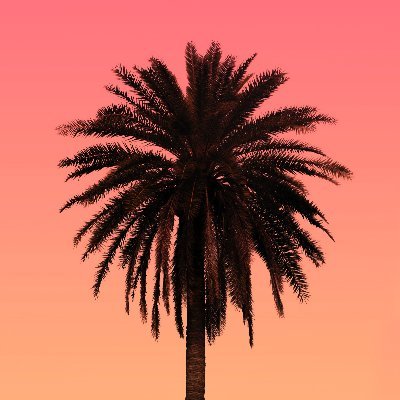 Ħedera enthusiast, web3, NFT collector, software engineer, board games lover, palm trees seeker. I make uninformed decisions when trading. I make @HederaAliens
