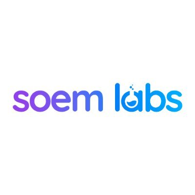 Soem Labs | Agencia de marketing de Amazon FBA. Estrategia de venta, gestión de stock, posicionamiento en el marketplace, publicidad en Amazon y más.