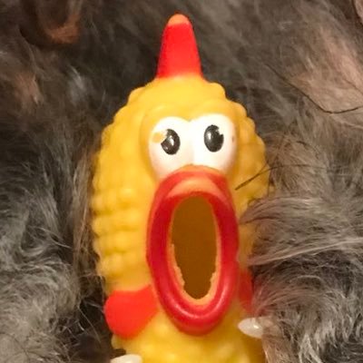 ﾄｩﾃﾞｨさんのプロフィール画像