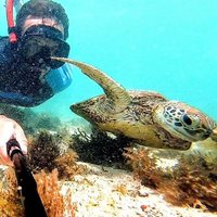 Ste (@surfsnorkelste) 's Twitter Profile Photo Ste (@surfsnorkelste) 's Twitter Profile Photo