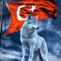 TURAN 🇹🇷🇹🇷🇹🇷🇦🇿🇦🇿🇦🇿(@KaymakTuran) 's Twitter Profile Photo