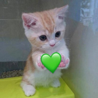 meeeeow