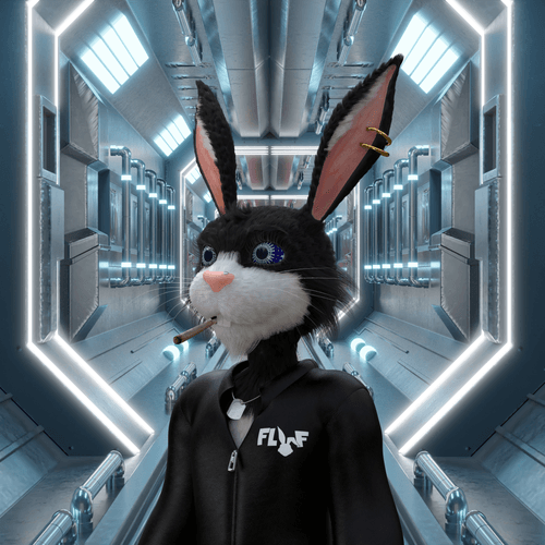 You look lost, follow me 🐰 | Fluf World | Loaded Lions | Shit poster