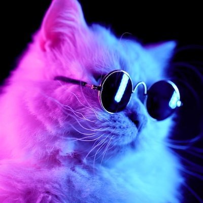 _Ahche's profile picture. 
