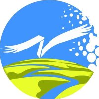 🇨🇳Golden Sandy Naiman@3 (@mitchel24510067) 's Twitter Profile