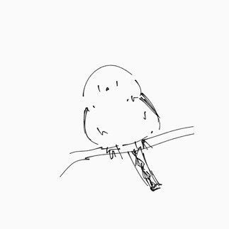*Yuuさんのプロフィール画像