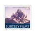 Surtsey Films (@SurtseyFilms) Twitter profile photo