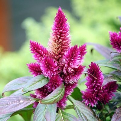 psivap7780's profile picture. 