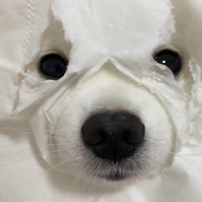 香茅草eeeさんのプロフィール画像
