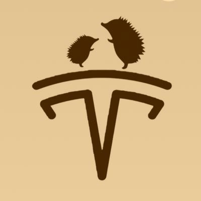 yas_tesla Profile Picture