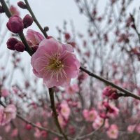 兜兜里有糖 (@dudulyutng5) Twitter profile photo