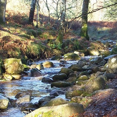 Education Centre for Geography & Ecology field studies + i nGaeilge. Hike/Bushcraft adventure for Primary & Secondary schools
North Wicklow, 30 mins from M50