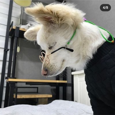 CriyKul's profile picture. ไม่เคยรักใครเท่าติ๋ง ลิเวอร์พูล และประชาธิปไตย