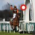 The Flat Owl - Racing🦉🏇 (@theflatowl) Twitter profile photo The Flat Owl - Racing🦉🏇 (@theflatowl) Twitter profile photo