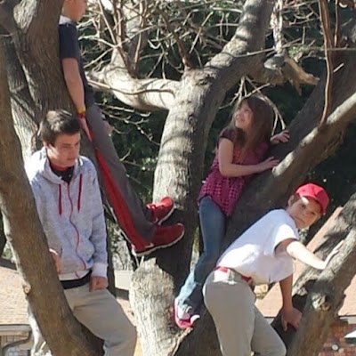 SilveusKristin's profile picture. 