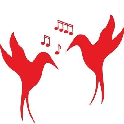 SongbirdsCdf Profile Picture