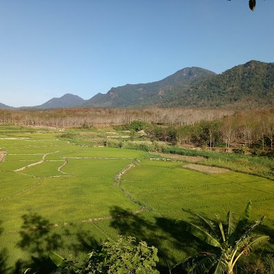 dohoa123's profile picture. 