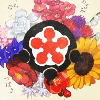 春 (@amailohalmachi) 's Twitter Profile