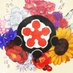 春 (@amailohalmachi) Twitter profile photo 春 (@amailohalmachi) Twitter profile photo