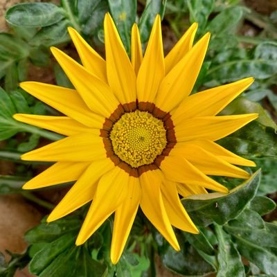 swetaankhi's profile picture. 