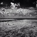 Jon torre - @Jonto8 - Twitter