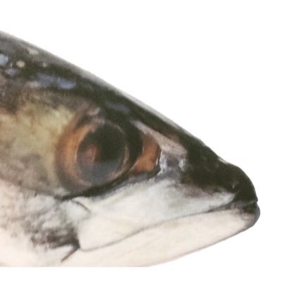人生は浮草。夜行性の根無し草だけど、この海にいたい。🐟😈👑🐃🐑⛰🧸床間/特他/ビアリ…音楽と美味い食べ物と酒、アートフェスで生きてる浮遊物の雑垢です。22時以降がゴールデンタイムです。記憶力はミジンコです。