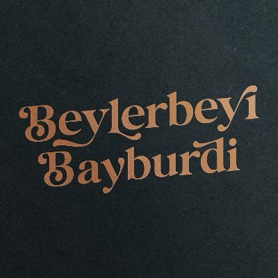 AhmetBeylerElci Profile Picture