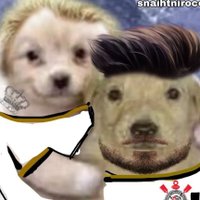 Cortinas ao Contrário shadowban (@snaihtnirocccc) 's Twitter Profile Photo