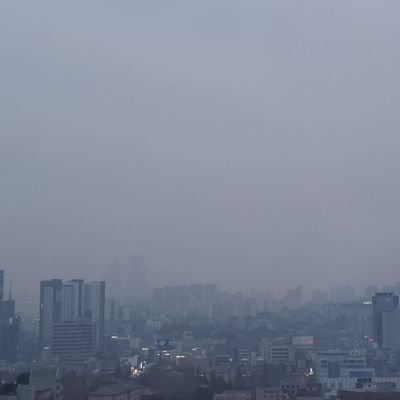 darknoon_3's profile picture. 랟팸아님. 젠띠임. 탈노선. 의제별 연대ㅡ 여성의제 위해 계정 분리했습니다