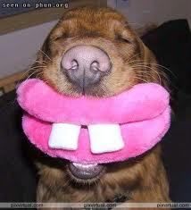 serepadrinet's profile picture. 