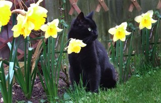 Princess27609's profile picture. 