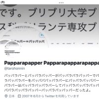 Papparapapper Papparapapparapapparapapper Ⅳ(@tarohonnin) 's Twitter Profile Photo