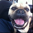 Daniel Perez - @DaniTerry17 - Twitter