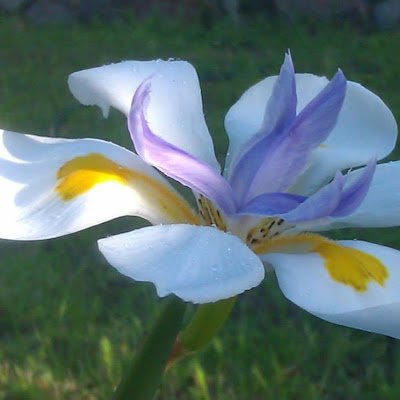 KathyjjSw's profile picture. 